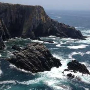 StarZero eFloriculture