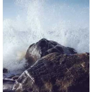 Bernardi-Barbieri s.r.l. SPA