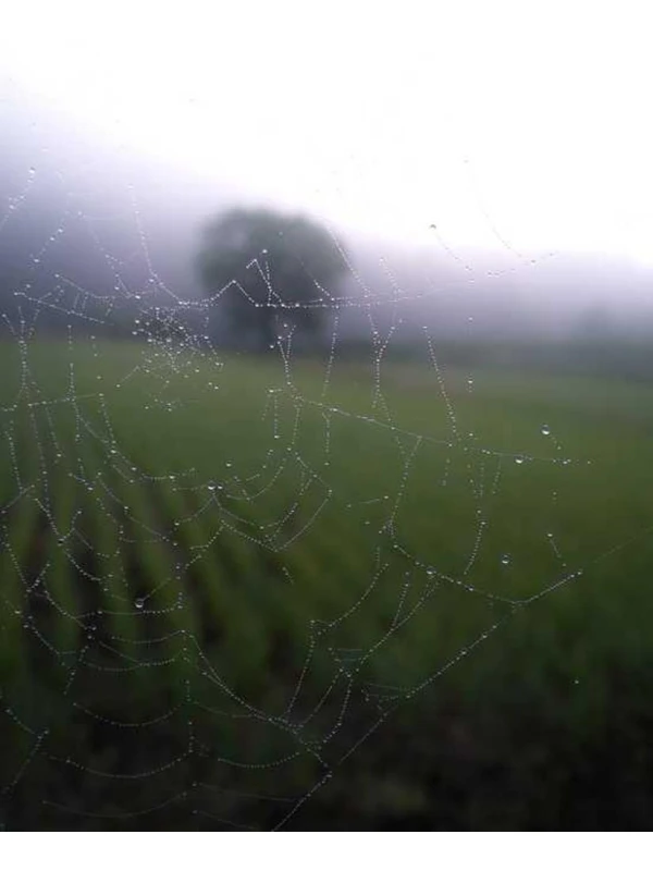 Aut aut alias voluptatum minima necessitatibus totam adipisci - Sanna s.r.l. 