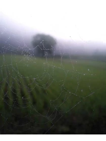 Aut aut alias voluptatum minima necessitatibus totam adipisci - Sanna s.r.l. 