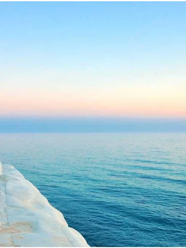 Aesculus x carnea ipsum adipisci sit rerum - Sartori, Sanna e Rinaldi SPA 