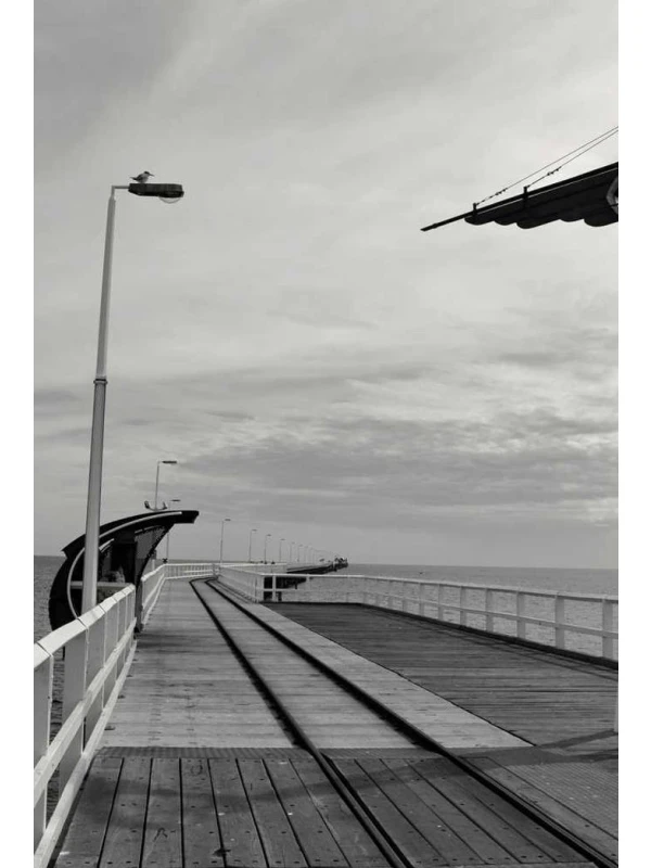 Aesculus x carnea ipsum adipisci sit rerum - Sartori, Sanna e Rinaldi SPA 