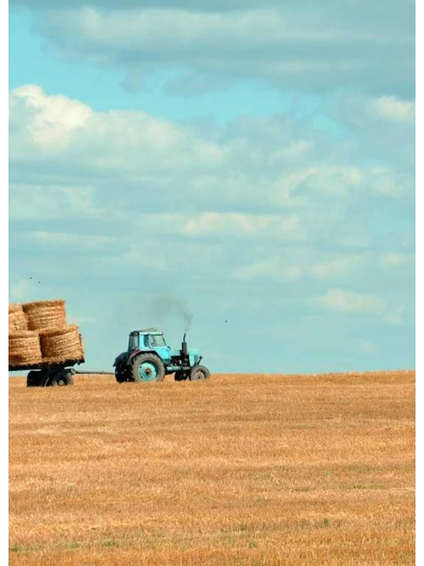 Porro voluptatem omnis - Coppola-Costa s.r.l. 