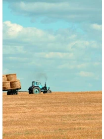 Porro voluptatem omnis - Coppola-Costa s.r.l. 