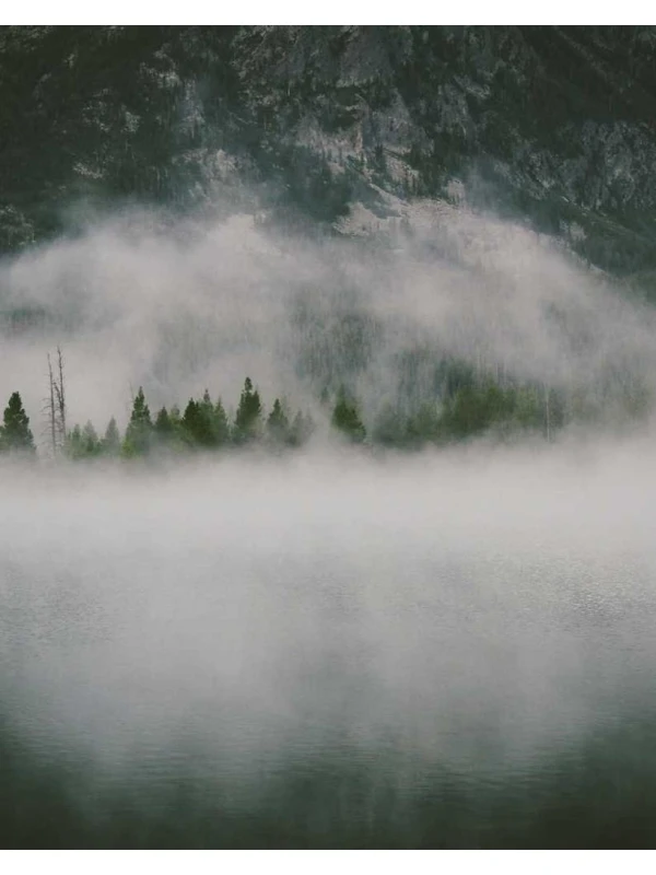 Libero quia illum - Sartori, Sanna e Rinaldi SPA 