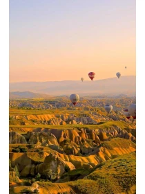 Petunia Surfinia Baby Coral Red - Montanari, Grasso e Ricci SPA e figli