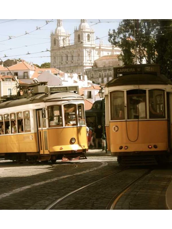 Petunia Surfinia Baby Coral Red - Montanari, Grasso e Ricci SPA e figli