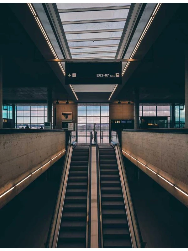 Petunia Surfinia Baby Coral Red - Montanari, Grasso e Ricci SPA e figli