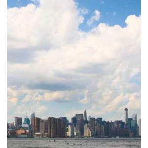 Rizzi-Ricci Group Group