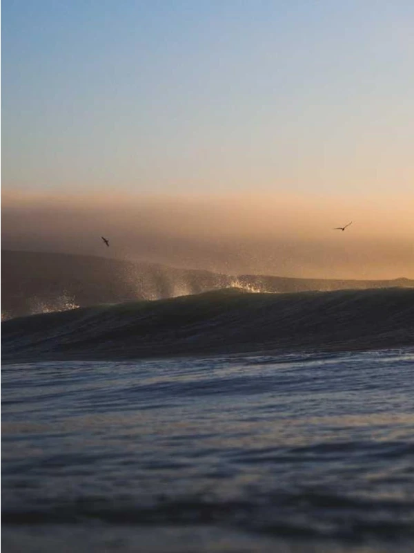 Quia sint - Fontana Group SPA