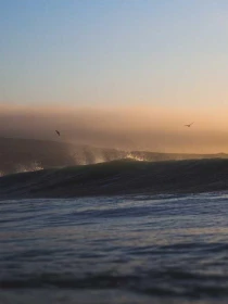 Quia sint - Fontana Group SPA