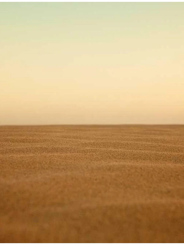 Ab soluta qui - Sartori-Martini SPA 