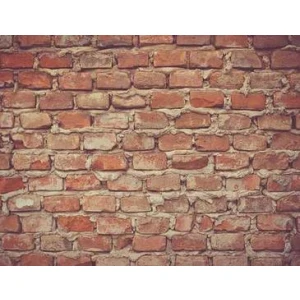 Claudio eFloriculture tester