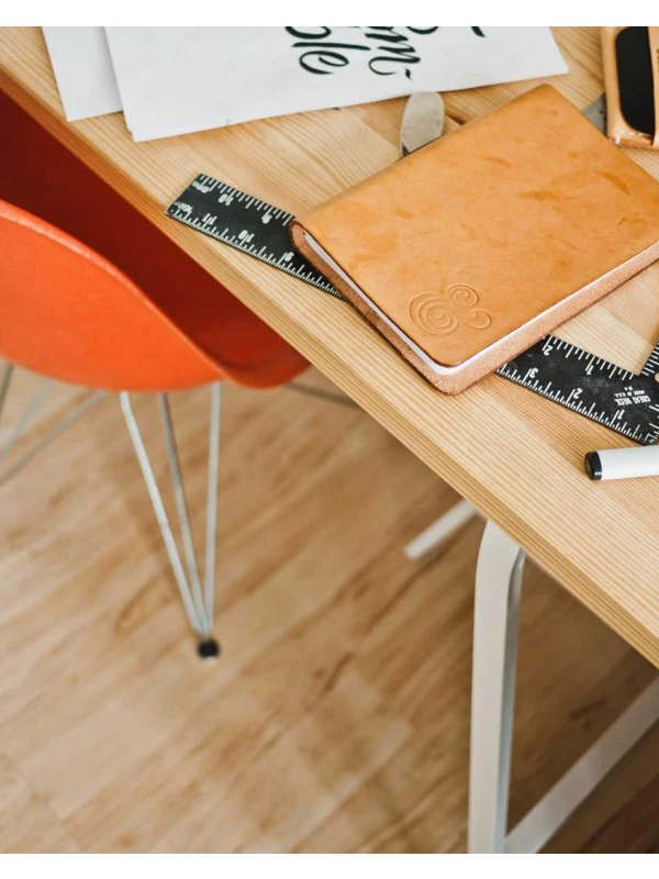 Pelargonium (Zonale Grp) 'Rospen' - Ferretti-Giuliani Group SPA