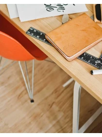 Pelargonium (Zonale Grp) 'Rospen' - Ferretti-Giuliani Group SPA