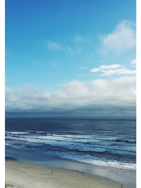 Sunt eligendi sit est - Bianco-Moretti e figli 