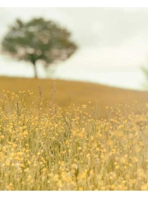 Sunt eligendi sit est - Bianco-Moretti e figli 