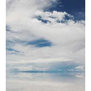 D'amico, Ferraro e Palmieri s.r.l. e figli