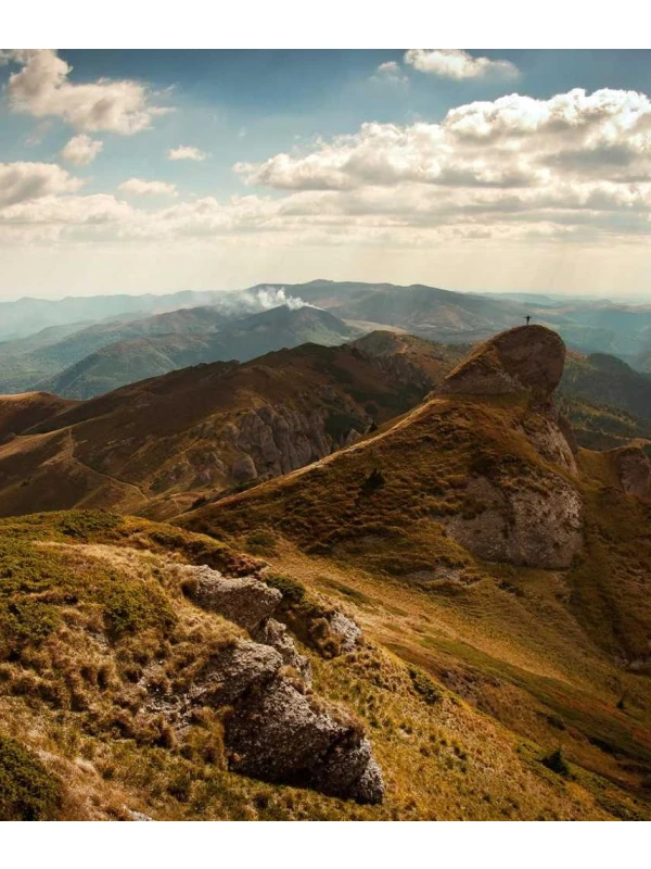 Bromelia mix Bromelia Gem - Fontana Group SPA
