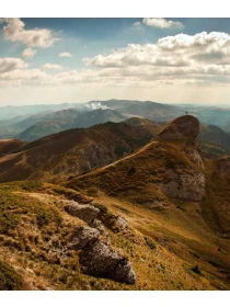 Bromelia mix Bromelia Gem - Fontana Group SPA