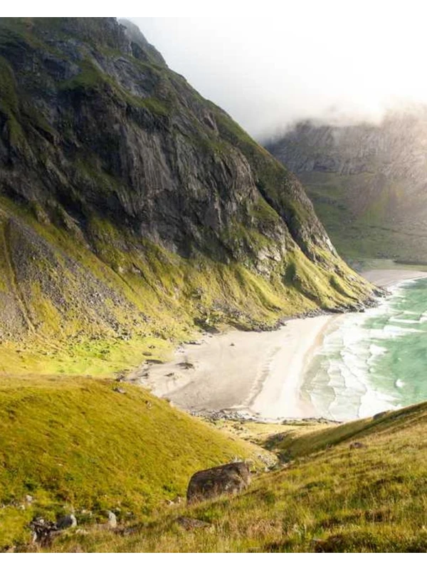 Bromelia mix Bromelia Gem - Fontana Group SPA