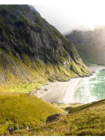 Bromelia mix Bromelia Gem - Fontana Group SPA