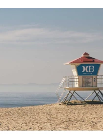 Clematis (Early Large-flowered Grp) 'Bees Jubilee' - Montanari, Grasso e Ricci SPA e figli