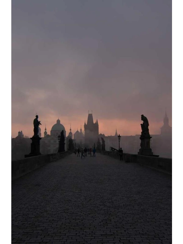 Nobis odit - De rosa, Coppola e Ferretti Group 