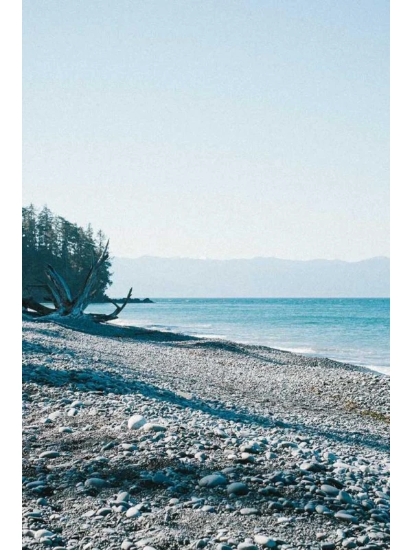 Nobis odit - De rosa, Coppola e Ferretti Group 