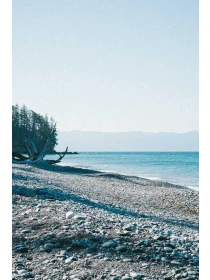 Nobis odit - De rosa, Coppola e Ferretti Group 