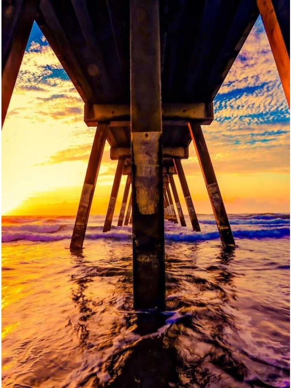 Arr. Kalanchoe tw 20706 assumenda rerum - Palumbo, Bruno e Milani Group 