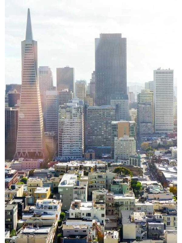 Dignissimos laudantium ea deleniti ipsum - Marchetti-Costantini e figli s.r.l.