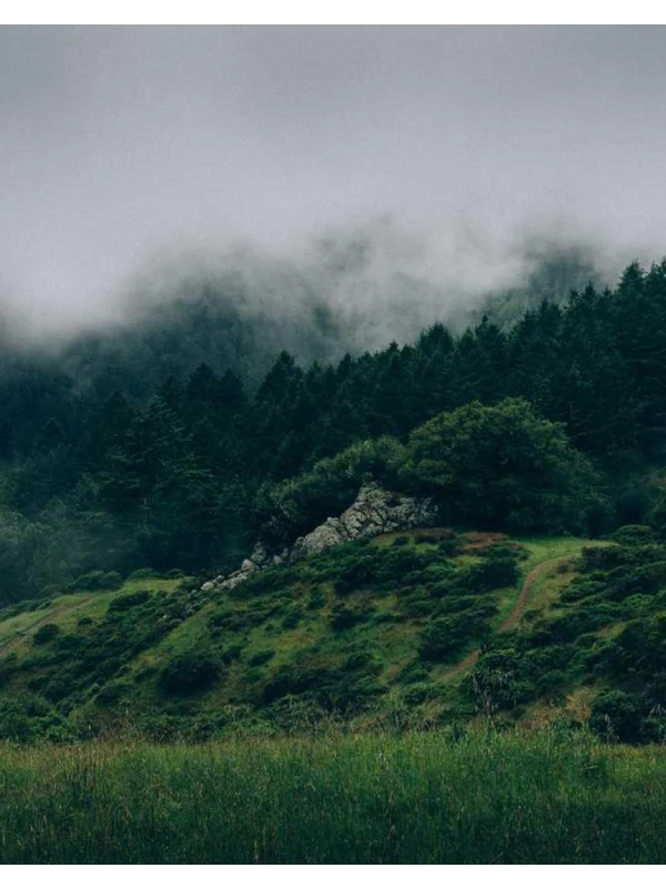 Dignissimos laudantium ea deleniti ipsum - Marchetti-Costantini e figli s.r.l.
