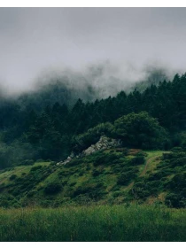 Dignissimos laudantium ea deleniti ipsum - Marchetti-Costantini e figli s.r.l.
