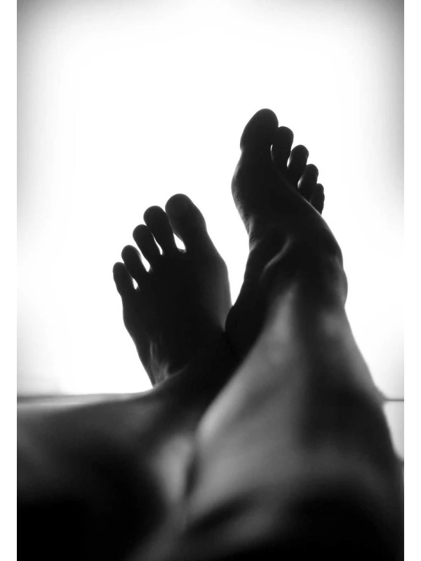 Licuala - Coppola-Costa s.r.l. 