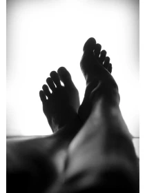 Licuala - Coppola-Costa s.r.l. 