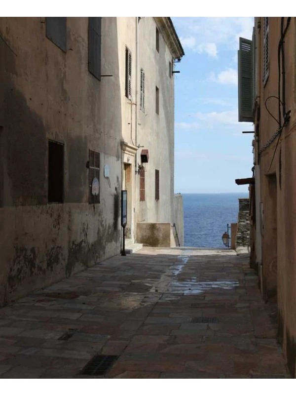 Licuala - Coppola-Costa s.r.l. 