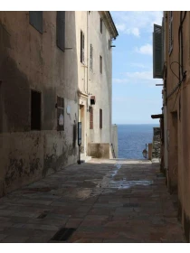 Licuala - Coppola-Costa s.r.l. 