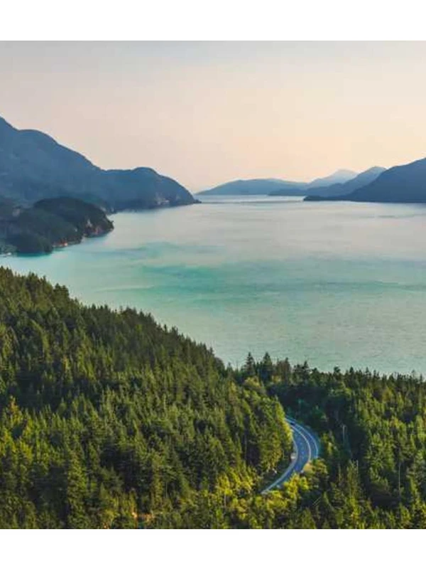 Qui dolores - Martini-Pagano e figli 