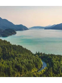 Qui dolores - Martini-Pagano e figli 