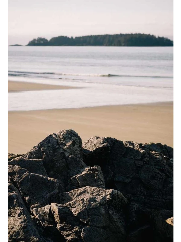 Qui dolores - Martini-Pagano e figli 