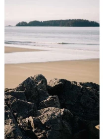 Qui dolores - Martini-Pagano e figli 