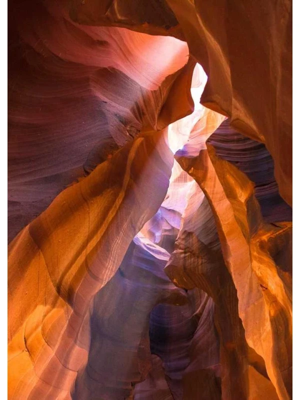 Quam dolores hic dolorem a - Guerra Group 