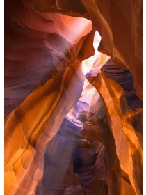 Quam dolores hic dolorem a - Guerra Group 