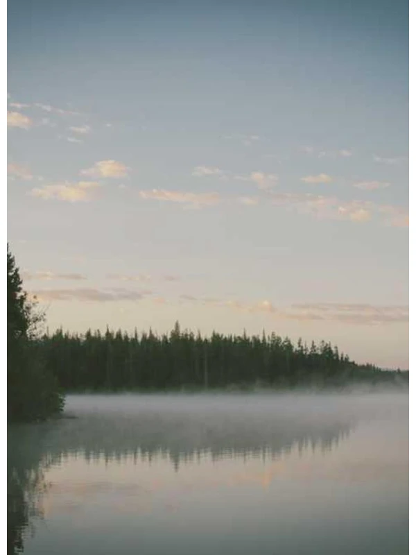 Odio labore dolore - Mariani SPA 