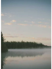 Odio labore dolore - Mariani SPA 