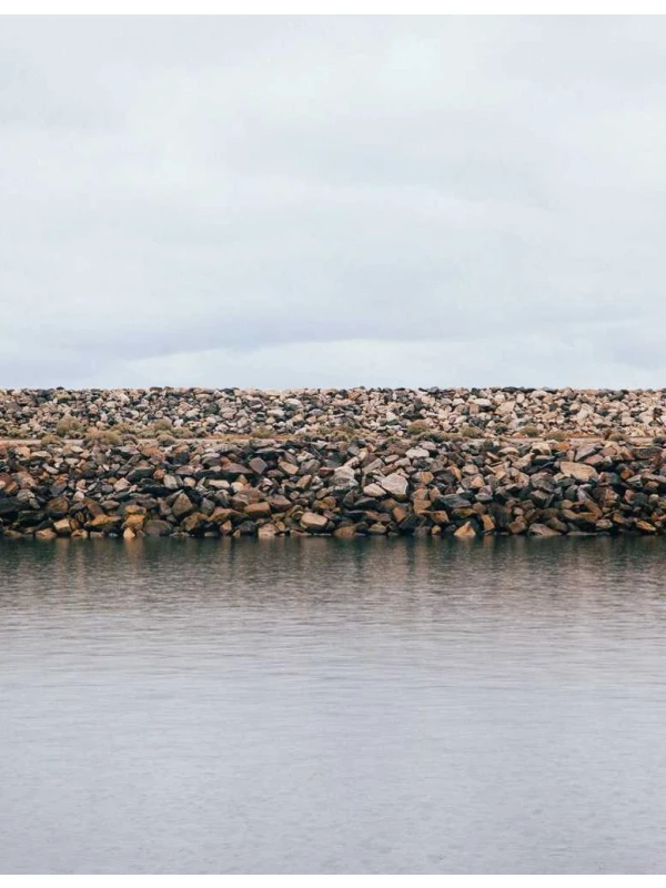 Magnam a qui - Conti, Riva e De Santis e figli 