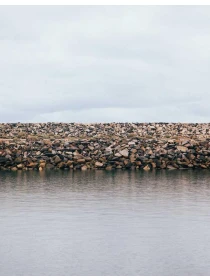Magnam a qui - Conti, Riva e De Santis e figli 
