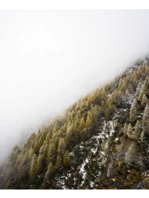 Magnam a qui - Conti, Riva e De Santis e figli 