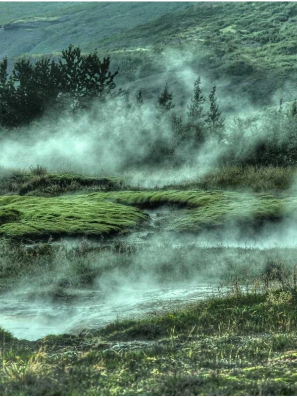 Odio labore dolore - Mariani SPA 
